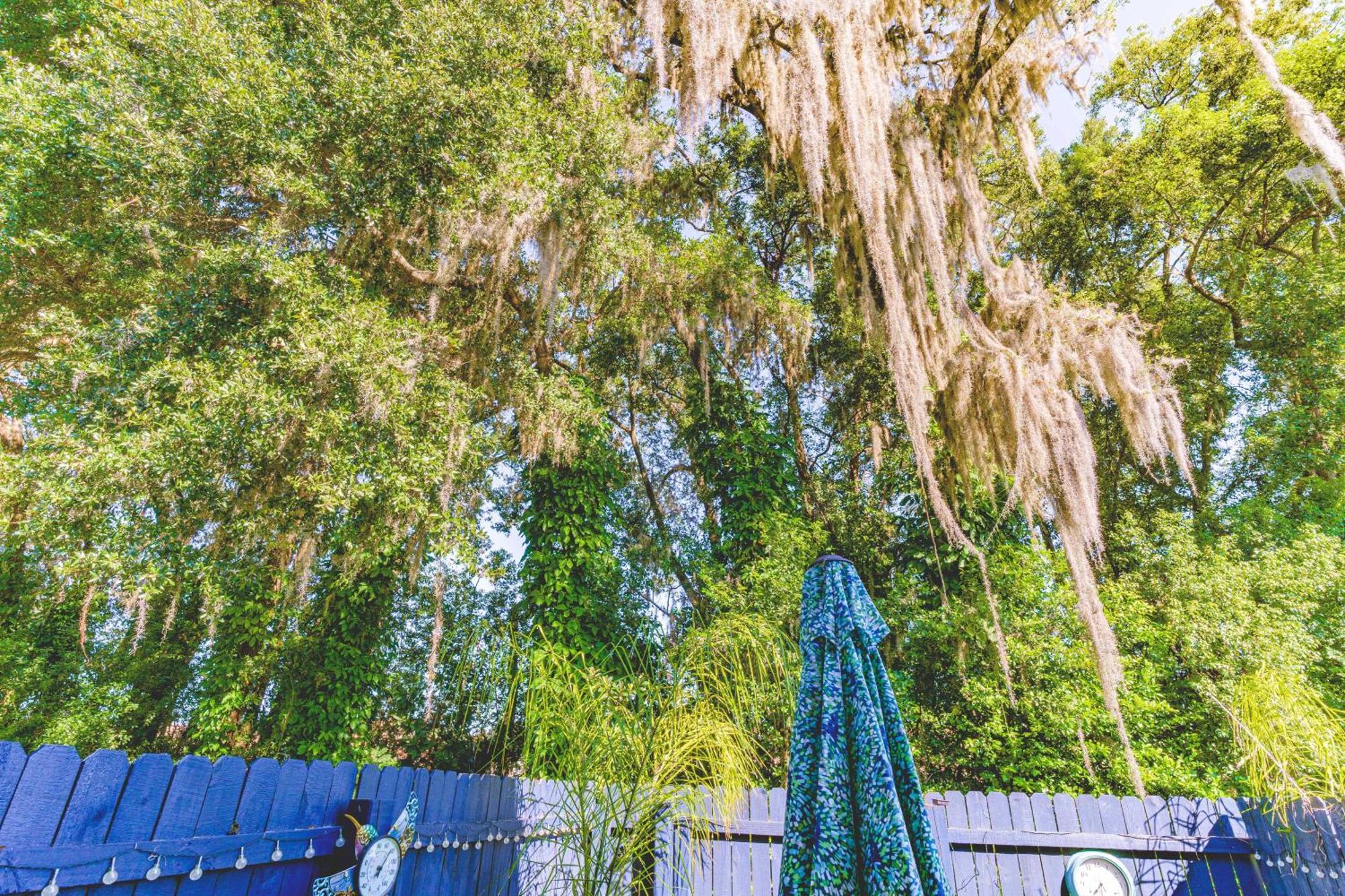 The Estate At Mt Dora Hotel Mount Dora Buitenkant foto